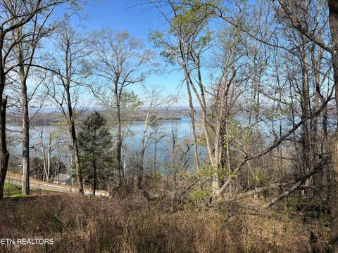 Tiny photo for 38 Johnson Lane, Ten Mile, TN 37880 (MLS # 1333376)