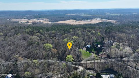Tiny photo for 38 Johnson Lane, Ten Mile, TN 37880 (MLS # 1333376)