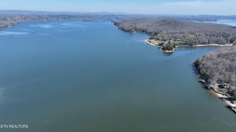 Tiny photo for 38 Johnson Lane, Ten Mile, TN 37880 (MLS # 1333376)