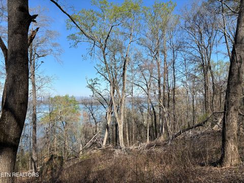 Tiny photo for 38 Johnson Lane, Ten Mile, TN 37880 (MLS # 1333376)