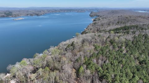 Tiny photo for 38 Johnson Lane, Ten Mile, TN 37880 (MLS # 1333376)