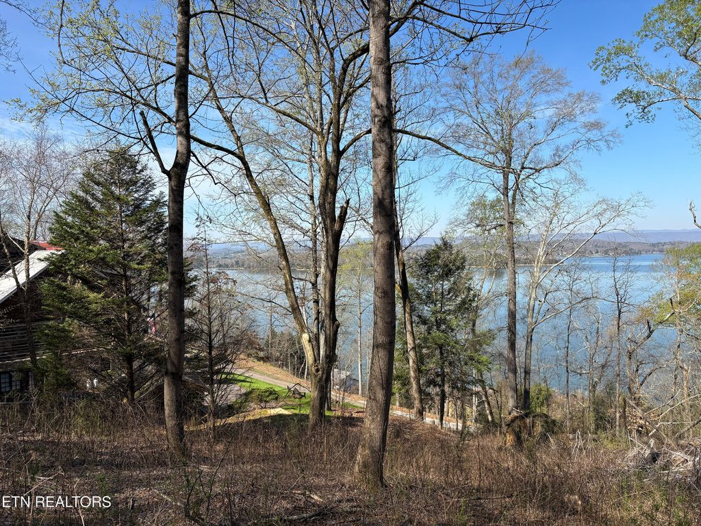 Photo of 38 Johnson Lane, Ten Mile, TN 37880 (MLS # 1333376)