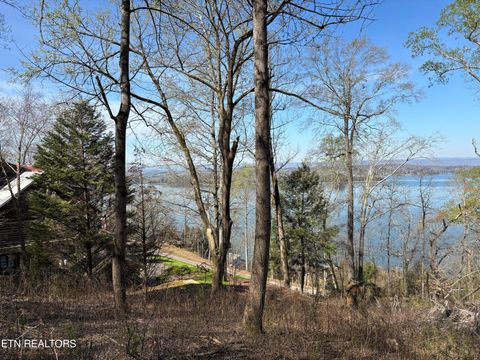Tiny photo for 38 Johnson Lane, Ten Mile, TN 37880 (MLS # 1333376)