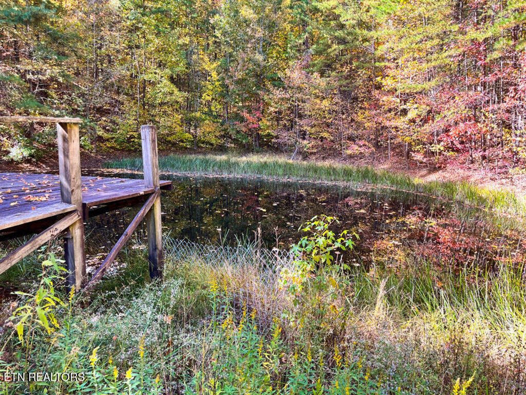 Photo of 146 Peach Tree Circle, Wartburg, TN 37887 (MLS # 1243640)