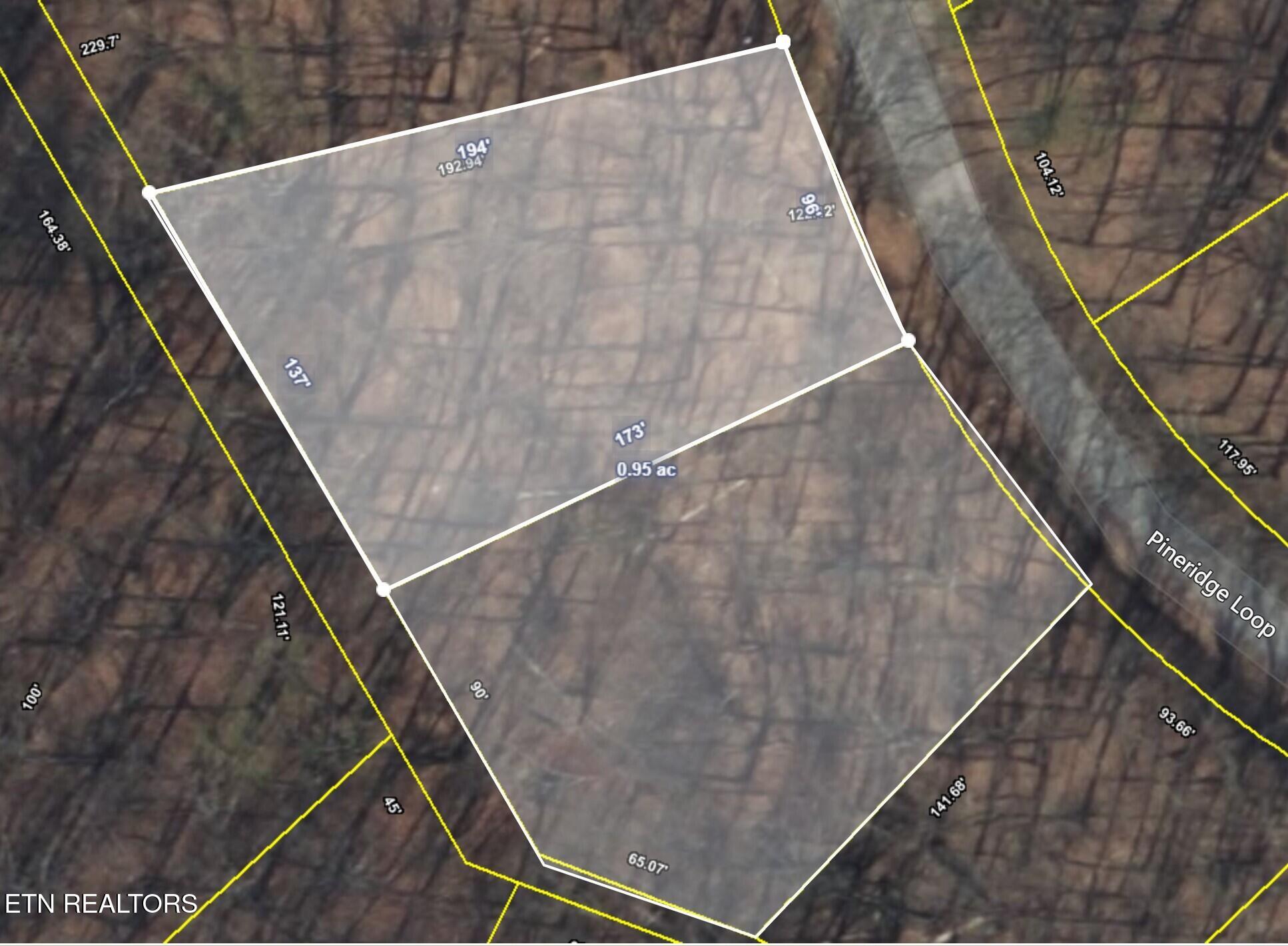121 Pineridge Loop