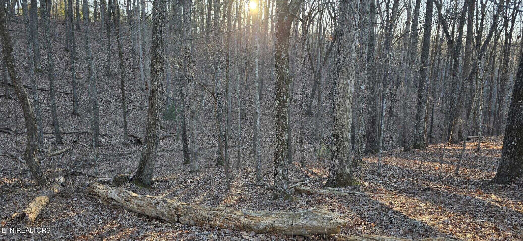 121 Pineridge Loop