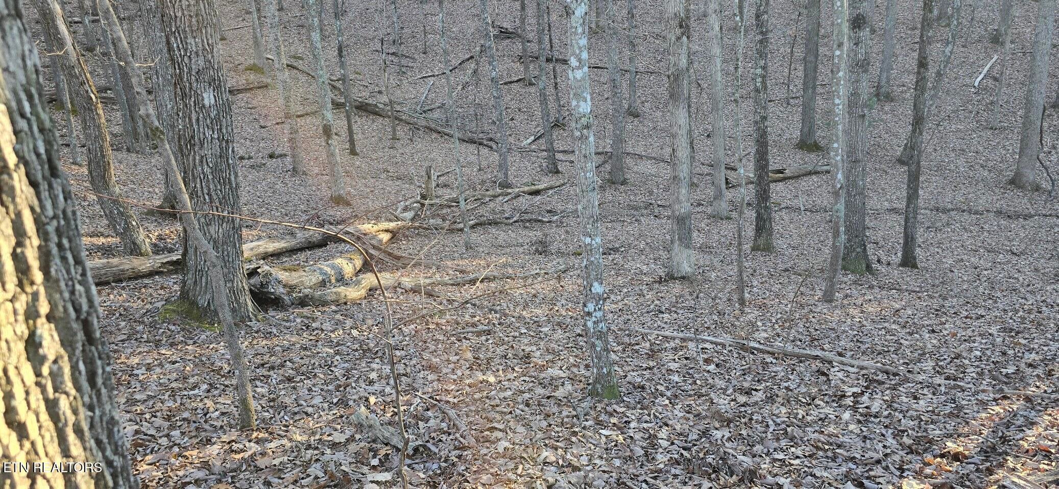 121 Pineridge Loop