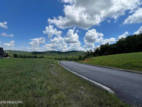 Tiny photo for 53 Cottonwood, Decatur, TN 37322 (MLS # 1332302)