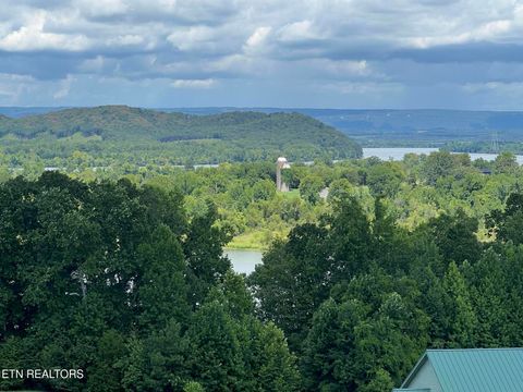 Tiny photo for 53 Cottonwood, Decatur, TN 37322 (MLS # 1332302)