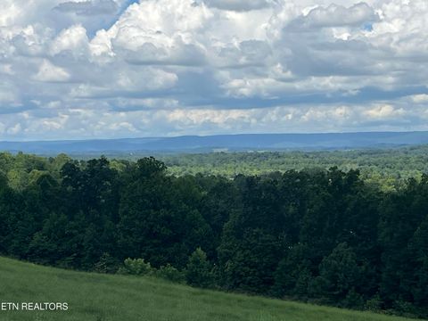 Tiny photo for 53 Cottonwood, Decatur, TN 37322 (MLS # 1332302)