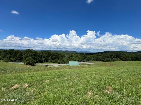 Tiny photo for 53 Cottonwood, Decatur, TN 37322 (MLS # 1332302)