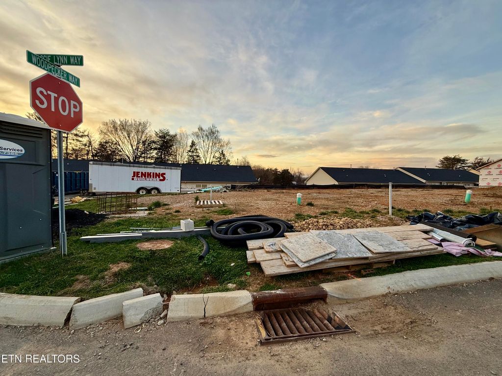 Photo of 3363 Maggie Lynn Way #22, Knoxville, TN 37921 (MLS # 1331670)