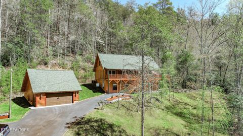 Tiny photo for 718 Rocky Flats Rd, Cosby, TN 37722 (MLS # 1297890)