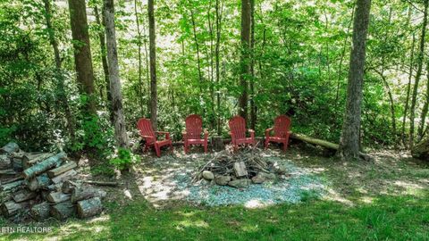 Tiny photo for 718 Rocky Flats Rd, Cosby, TN 37722 (MLS # 1297890)