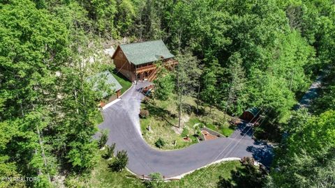 Tiny photo for 718 Rocky Flats Rd, Cosby, TN 37722 (MLS # 1297890)