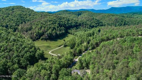 Tiny photo for 718 Rocky Flats Rd, Cosby, TN 37722 (MLS # 1297890)