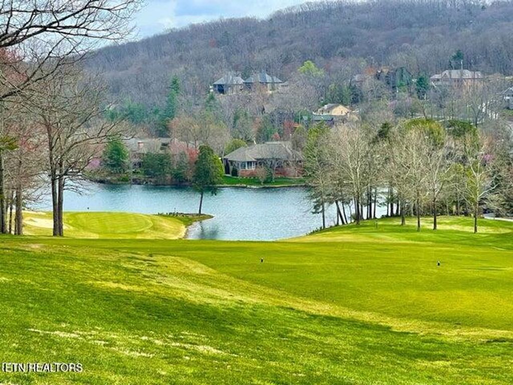 Photo of 24 Chipman Court, Crossville, TN 38558 (MLS # 1329827)