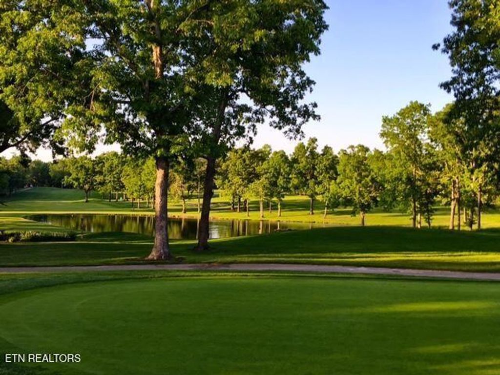 Photo of 24 Chipman Court, Crossville, TN 38558 (MLS # 1329827)