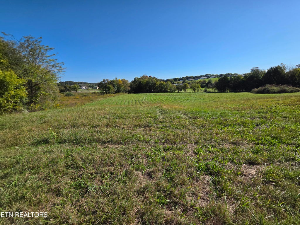 Photo of Savannah Lane, Madisonville, TN 37354 (MLS # 1358022)