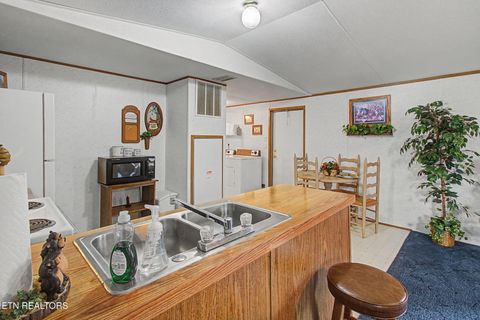 Tiny photo for 2459 Black Oak Ridge Rd, Sevierville, TN 37876 (MLS # 1332418)