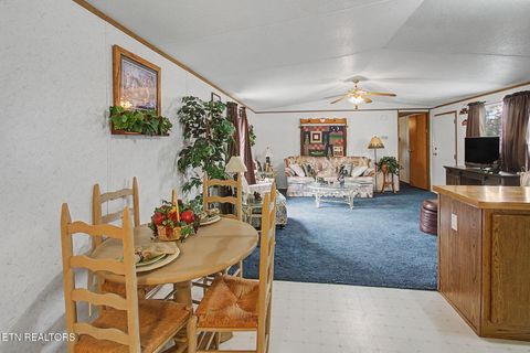 Tiny photo for 2459 Black Oak Ridge Rd, Sevierville, TN 37876 (MLS # 1332418)
