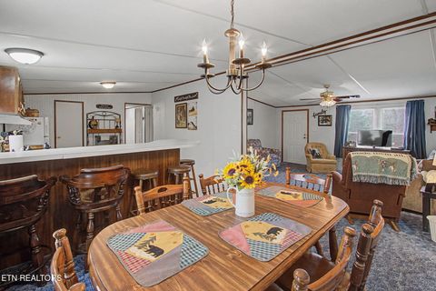 Tiny photo for 2459 Black Oak Ridge Rd, Sevierville, TN 37876 (MLS # 1332418)