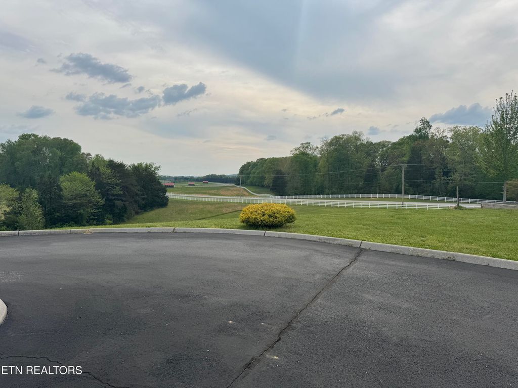 Photo of 205 W. Shore Dr., Rockwood, TN 37854 (MLS # 1298399)