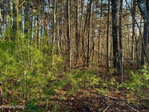 Tiny photo for George Drive, Deer Lodge, TN 37726 (MLS # 1324755)