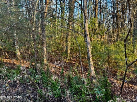 Tiny photo for George Drive, Deer Lodge, TN 37726 (MLS # 1324755)