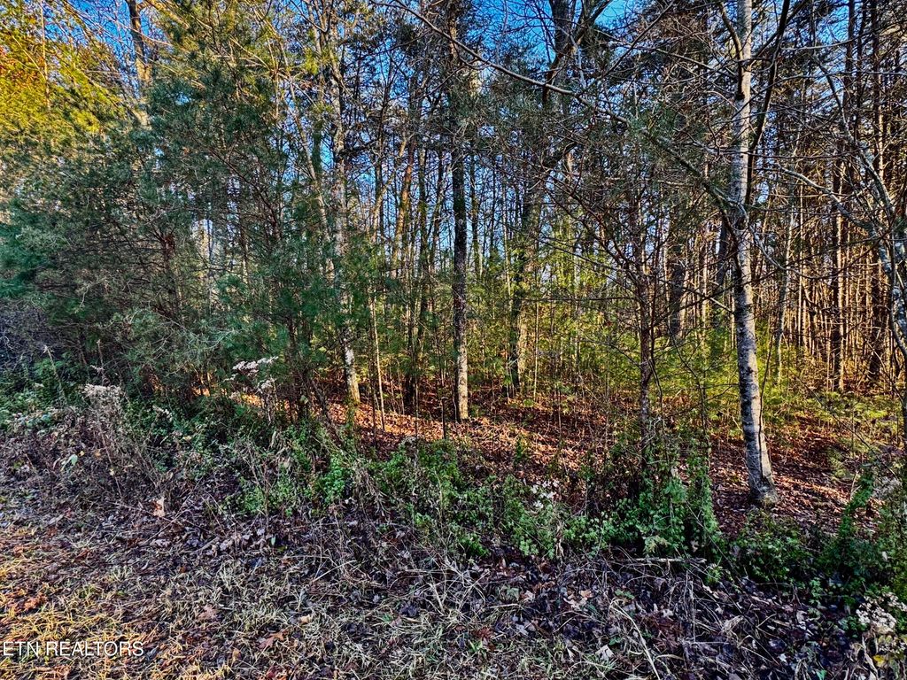 Photo of George Drive, Deer Lodge, TN 37726 (MLS # 1324755)