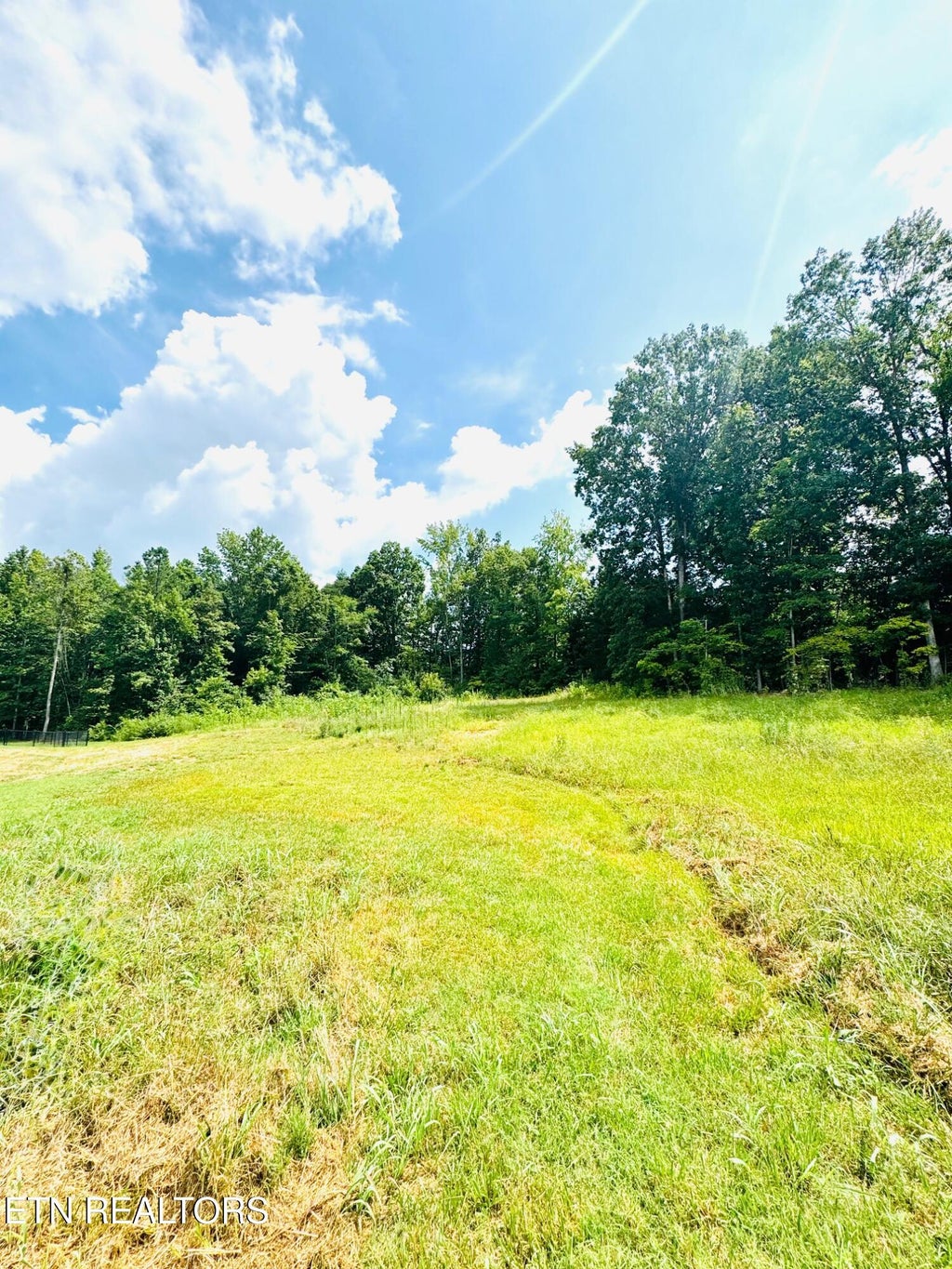 Photo of 359 Shadows Lawn Drive, Athens, TN 37303 (MLS # 1356825)
