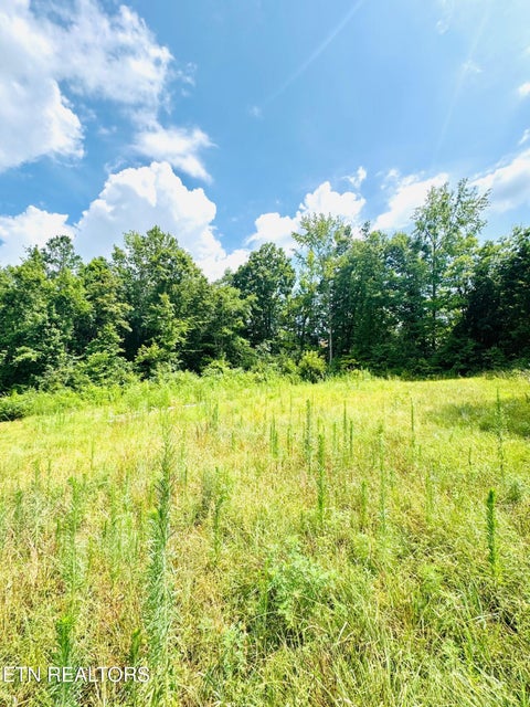 Photo of 359 Shadows Lawn Drive, Athens, TN 37303 (MLS # 1356825)