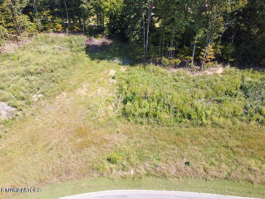Photo of 359 Shadows Lawn Drive, Athens, TN 37303 (MLS # 1356825)
