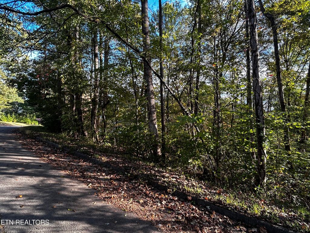 Photo of 18 Revere Ave, Clinton, TN 37716 (MLS # 1319942)