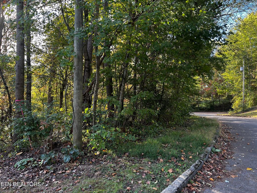 Photo of 18 Revere Ave, Clinton, TN 37716 (MLS # 1319942)