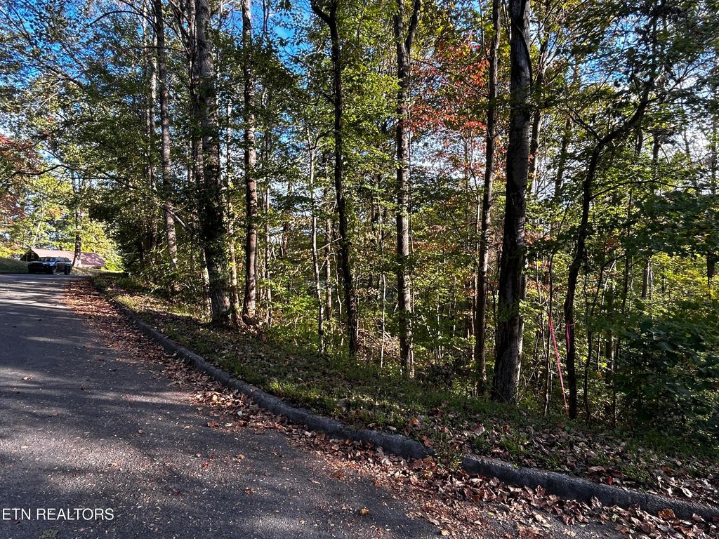 Photo of 18 Revere Ave, Clinton, TN 37716 (MLS # 1319942)