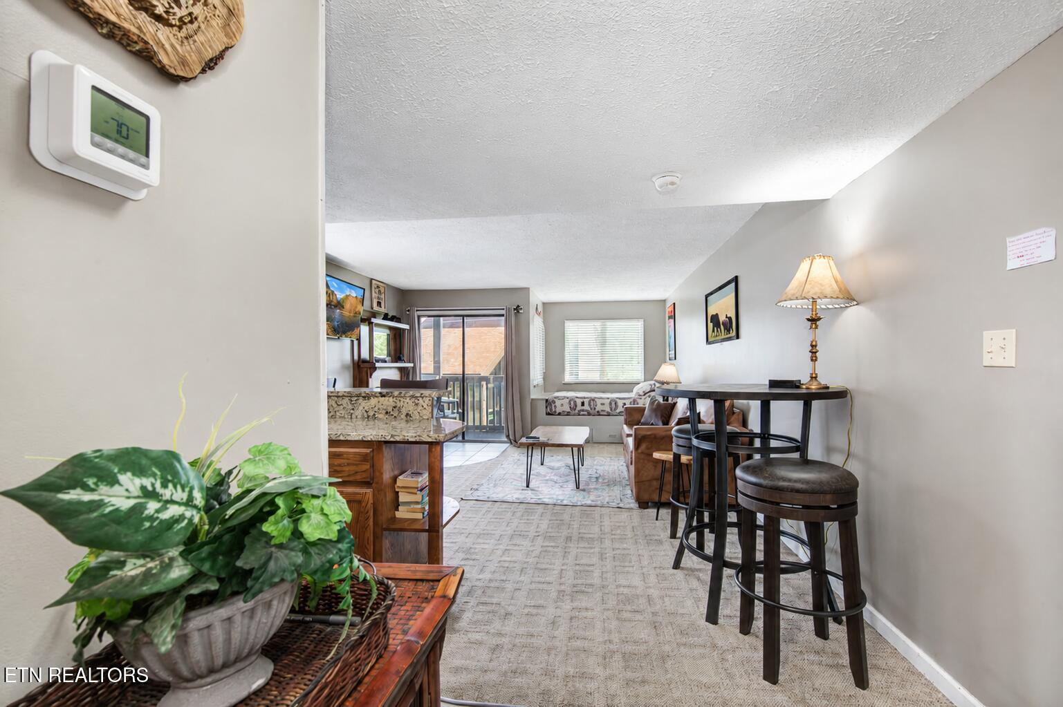 1380 Ski View Drive UNIT 2204