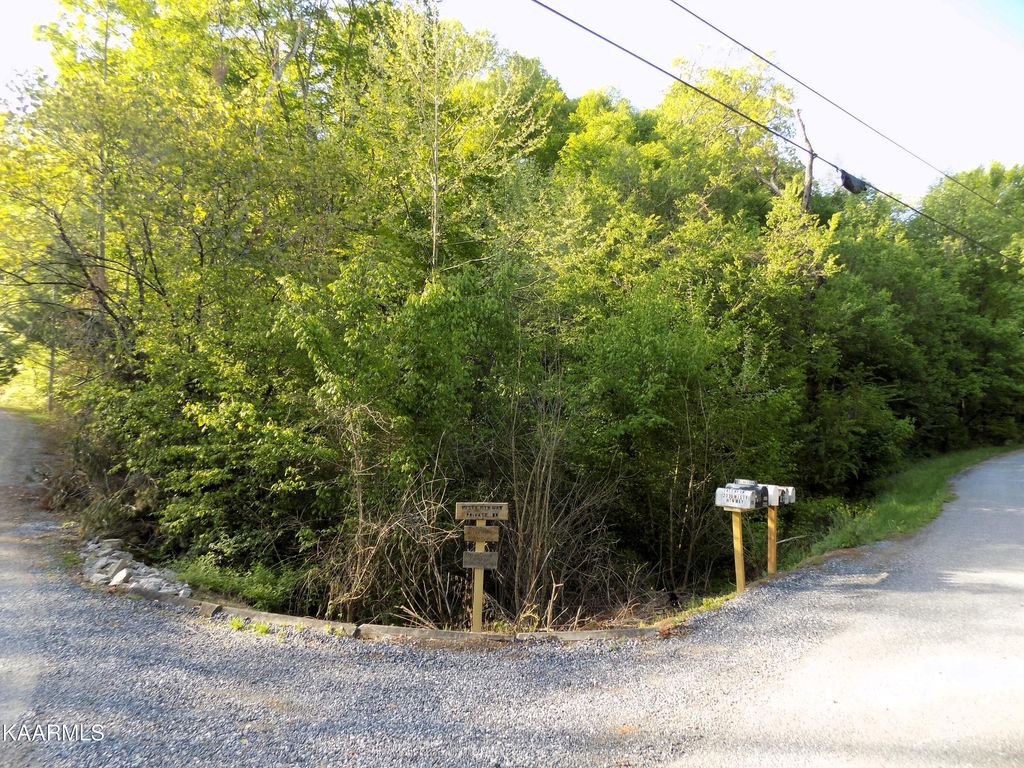Photo of 23 Driftwood Rd, Cosby, TN 37722 (MLS # 1232343)