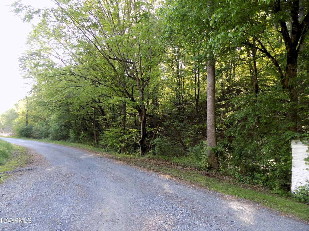 Photo of 23 Driftwood Rd, Cosby, TN 37722 (MLS # 1232343)
