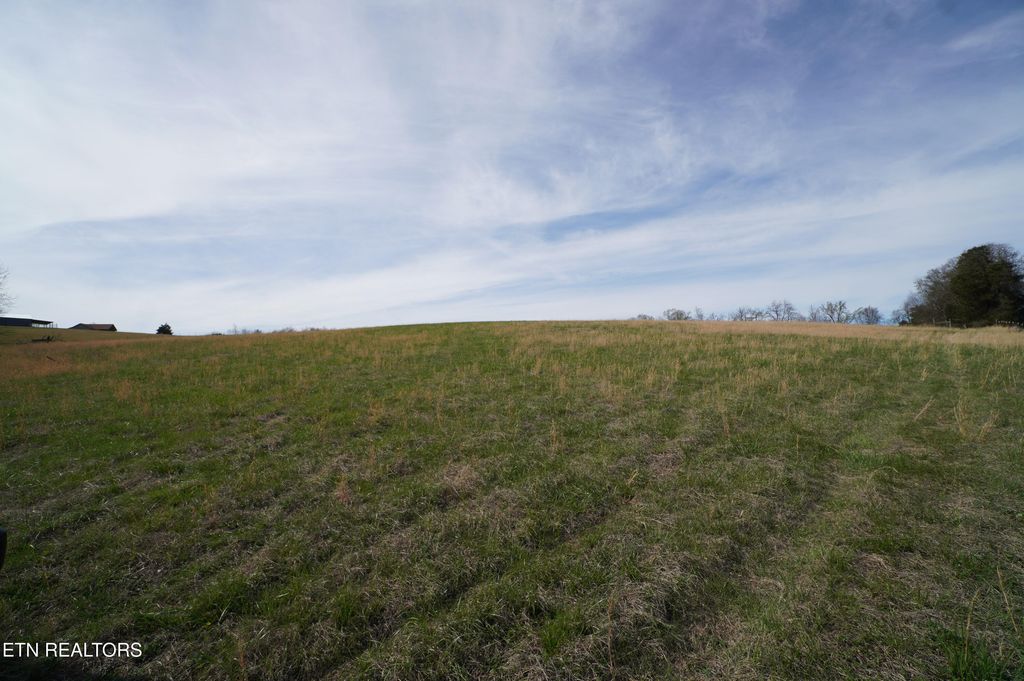 Photo of 44 Redwing Lane, New Market, TN 37820 (MLS # 1334433)