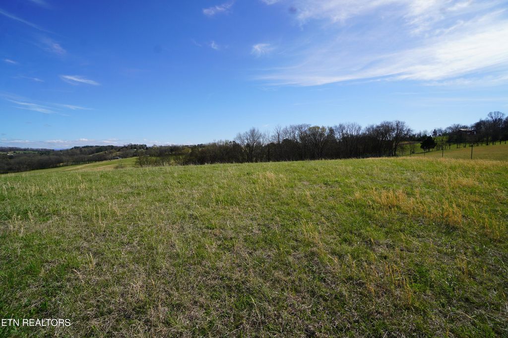 Photo of 44 Redwing Lane, New Market, TN 37820 (MLS # 1334433)
