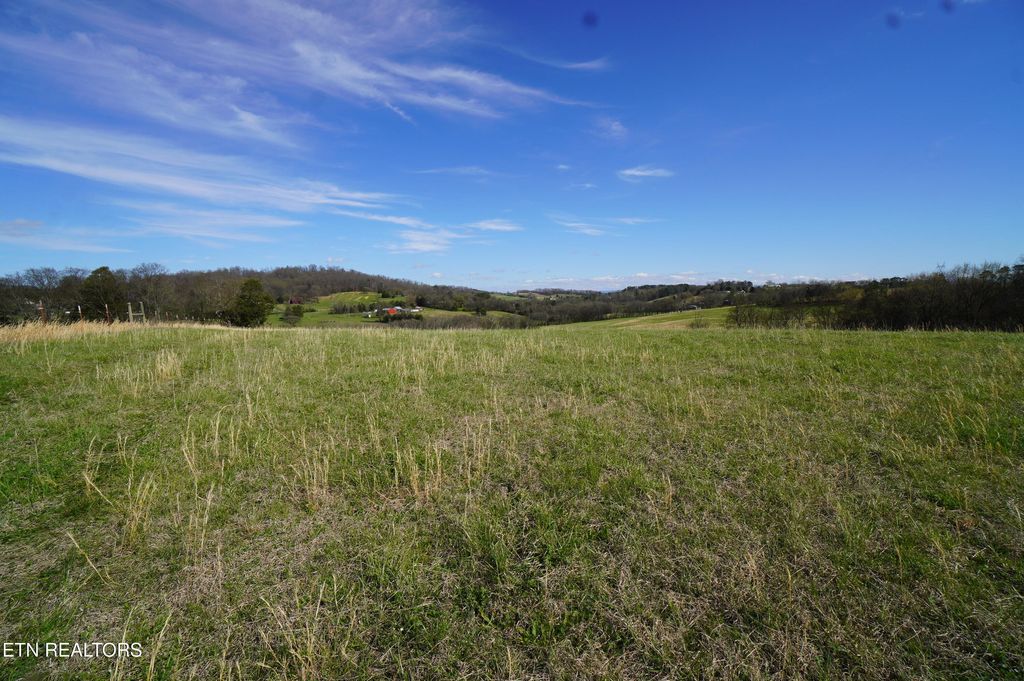 Photo of 44 Redwing Lane, New Market, TN 37820 (MLS # 1334433)