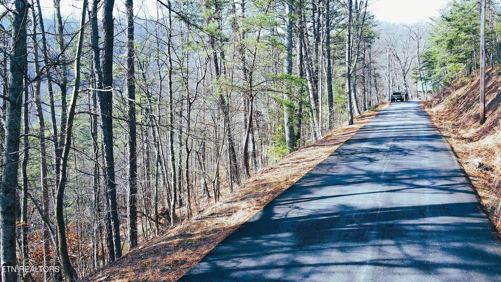 Photo of Overholt Trl Lot 3B, Sevierville, TN 37862 (MLS # 1289790)