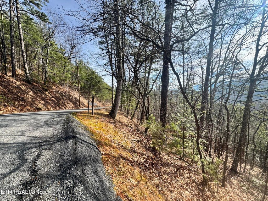 Photo of Overholt Trl Lot 3B, Sevierville, TN 37862 (MLS # 1289790)