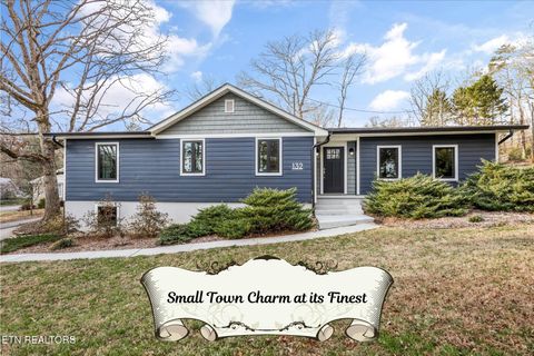 Photo of 132 Pine Rd, Norris, TN 37828 (MLS # 1327088)