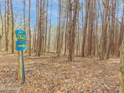 Tiny photo for County Rd. 262 Lot 6, Niota, TN 37826 (MLS # 1328081)