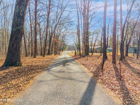 Tiny photo for County Rd. 262 Lot 6, Niota, TN 37826 (MLS # 1328081)