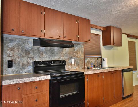 Tiny photo for 112 Sunflower Lane, New Tazewell, TN 37825 (MLS # 1327097)