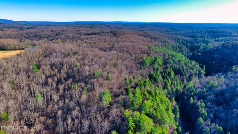 Photo of 2 Ervin Brown Rd #Tract 2, Sunbright, TN 37872 (MLS # 1336257)