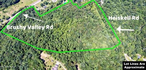 0 W Brushy Valley Drive Powell TN 37849
